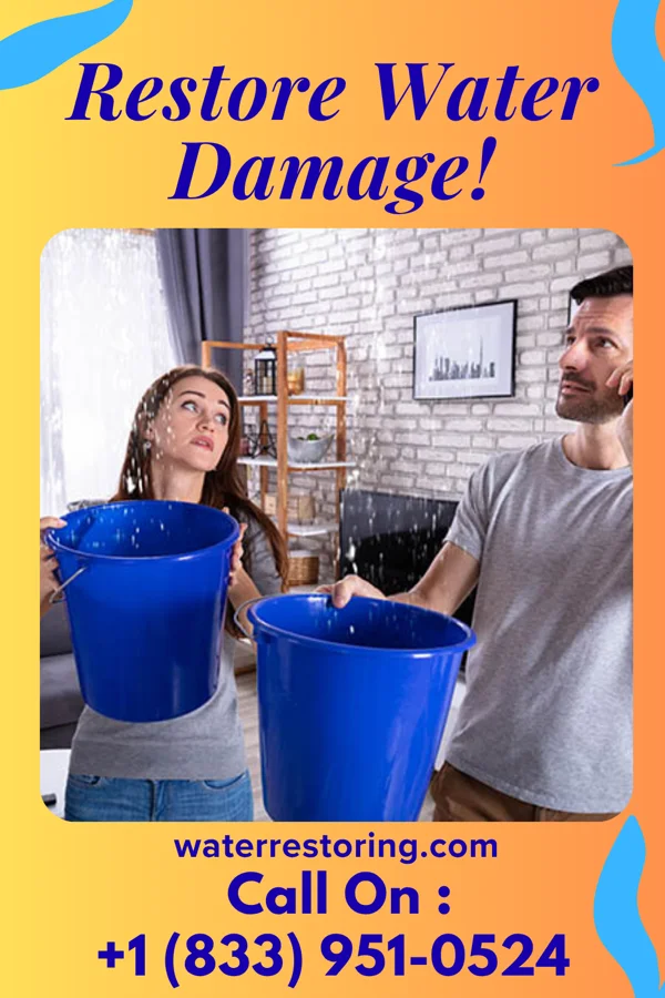 water restoration Patriot Water Mitigation Team Morganville